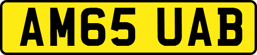 AM65UAB