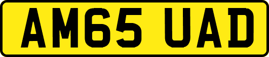 AM65UAD