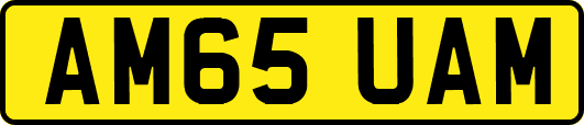AM65UAM