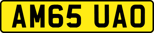 AM65UAO