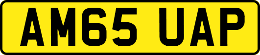 AM65UAP