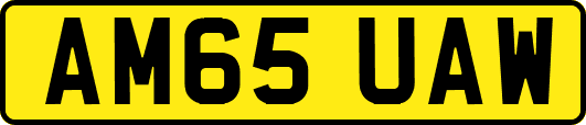 AM65UAW