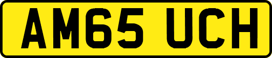 AM65UCH