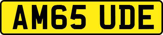 AM65UDE