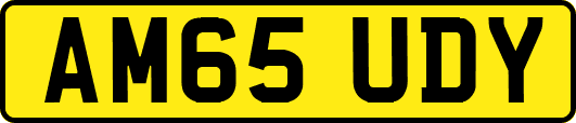 AM65UDY