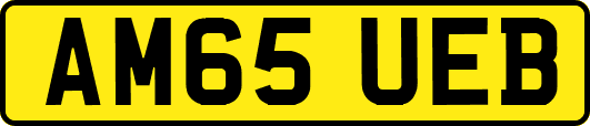 AM65UEB