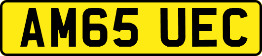 AM65UEC