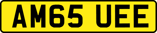 AM65UEE