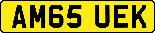 AM65UEK