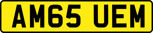 AM65UEM
