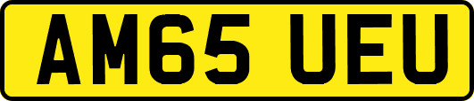 AM65UEU