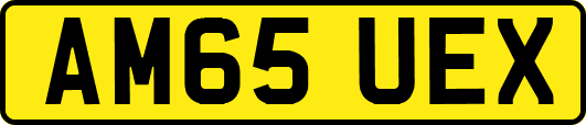 AM65UEX
