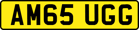 AM65UGG
