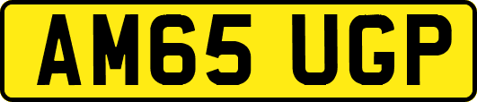 AM65UGP