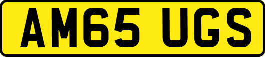 AM65UGS