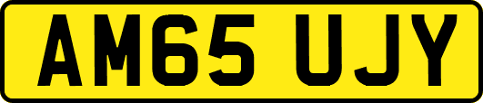 AM65UJY