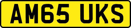 AM65UKS