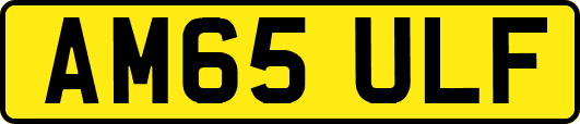 AM65ULF