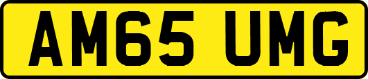AM65UMG