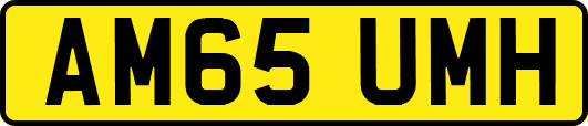AM65UMH