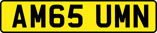 AM65UMN