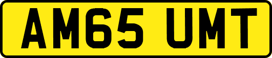 AM65UMT