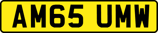 AM65UMW