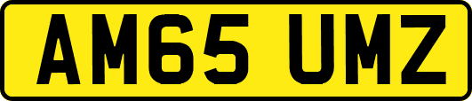 AM65UMZ