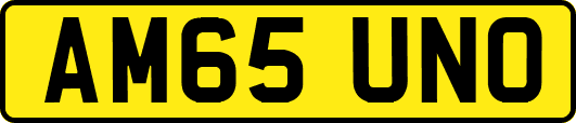 AM65UNO