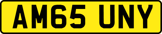 AM65UNY