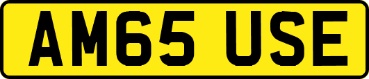 AM65USE