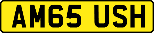 AM65USH