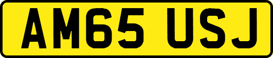 AM65USJ