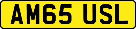 AM65USL