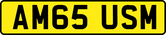 AM65USM