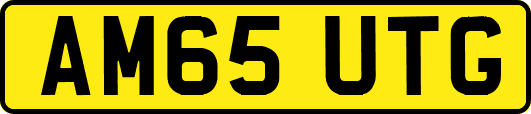 AM65UTG