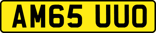 AM65UUO