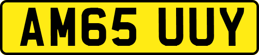 AM65UUY