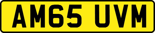 AM65UVM