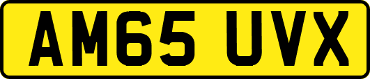 AM65UVX