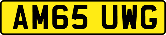 AM65UWG