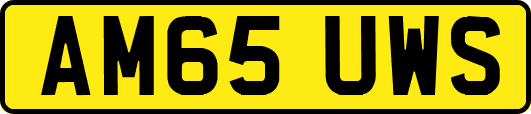AM65UWS