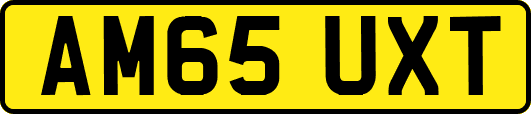 AM65UXT
