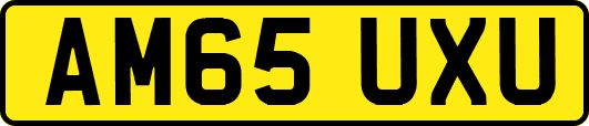 AM65UXU