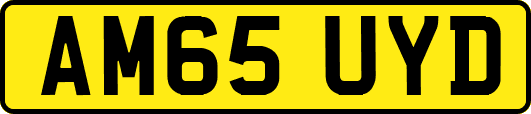AM65UYD