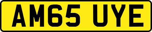 AM65UYE