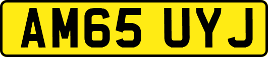 AM65UYJ