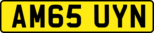 AM65UYN