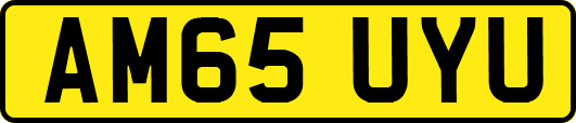 AM65UYU