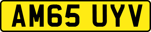 AM65UYV